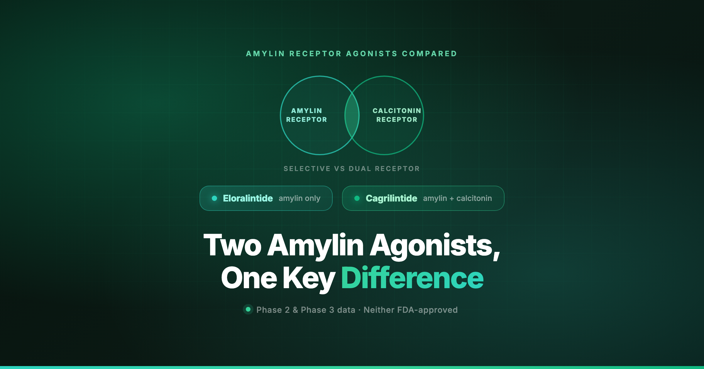 Cagrilintide vs eloralintide amylin receptor agonist comparison graphic
